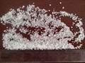 Ammonium sulfate granule 4