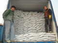 Agricultural ammonium sulfate 5