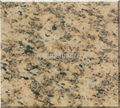 Tiger Skin Granite 1