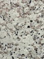 Pearl White Granite