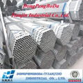 Q195-Q235 Pre Galvanized greenhouse Steel Pipes 1