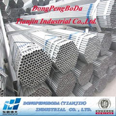 Q195-Q235 Pre Galvanized greenhouse Steel Pipes