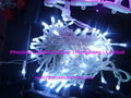 Led Twinkle String Light