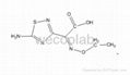Ceftaroline Fosamil intermediates 1