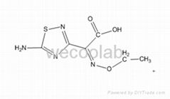 Ceftaroline Fosamil intermediates