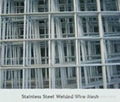 Stainless Steel Welded Wire Mesh