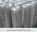 Stainless Steel Welded Wire Mesh 3