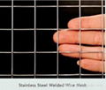 Stainless Steel Welded Wire Mesh 4