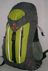 Fashion backpack