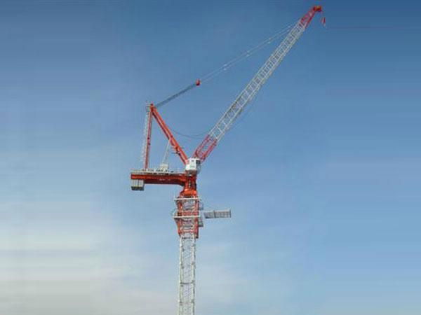  CE Certificated Luffing Jib Crane L160