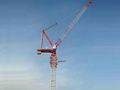  CE Certificated Luffing Jib Crane L160 1