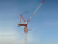 CE Certificated Luffing Jib Crane L160