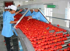 TOMATO PASTE PLANT/MACHINERY