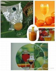 TROPICAL FRUIT PROCESS PLANT MACHINERY