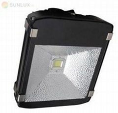 50W outdoor pathway lighting