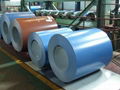 prepainted galvanized steel coil  1