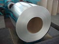 Hot dipped galvanized steel sheet or coil  4