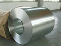 Hot dipped galvanized steel sheet or coil  5