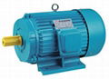 2013 hot sale Y Series ac motor 0.55~315kw 1