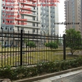 Zero Maintenance Modular Ornament Steel Pool Fencing 4