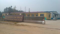 Shandong Strong Casting Co.,Ltd