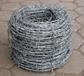 wire mesh 2