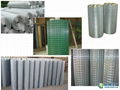 Galvanized welded wire mesh 2