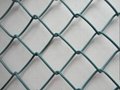 Galvanized welded wire mesh 3