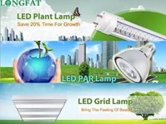 Dongguan Longfar Optoelectronics Technology Co., Ltd.