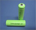 Low Self-discharge Ni-MH Rechargeable