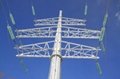 Double circult transmission tower 2