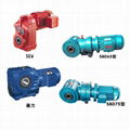 Gear Motor