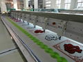 Computerized Chenille embroidery machine with 6 color 2