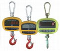 2014 NEW cheapest and good quality digital crane scale 1