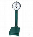 2014 NEW best hot -sale double dial mechanical Bench Scale