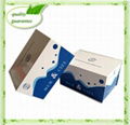 人甲胎蛋白（AFP）ELISA试剂盒 1