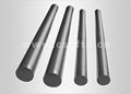 tantalum rod