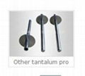 tantalum flange 1