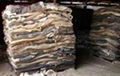 Wet and Dry Salted Cow hides