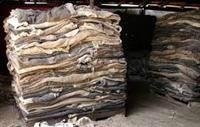 Wet and Dry salted cow hides