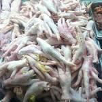  Chicken Feet and Whole Chicken for Sale