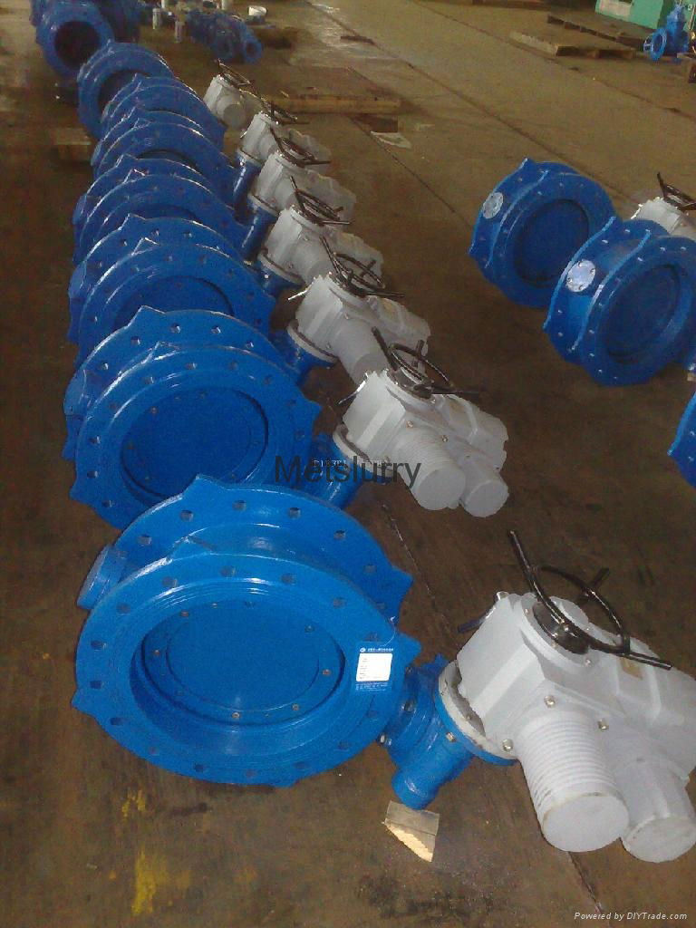 butterfly valve 2