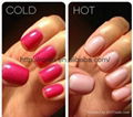 RNK Changing Color Gel 2