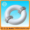 ring type high power electrodeless induction lamp