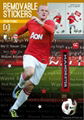 Rooney Wallstickers 1