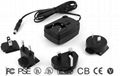 5W-24W switching power supply power adapter with interchangeable plug 1