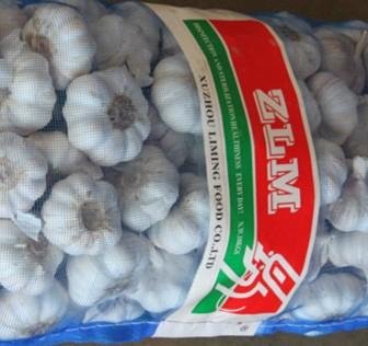 normal white AND pure white fresh garlic 3