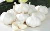 2013pure white garlic 1