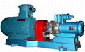 Progressive cavity pump system(pcp) 1