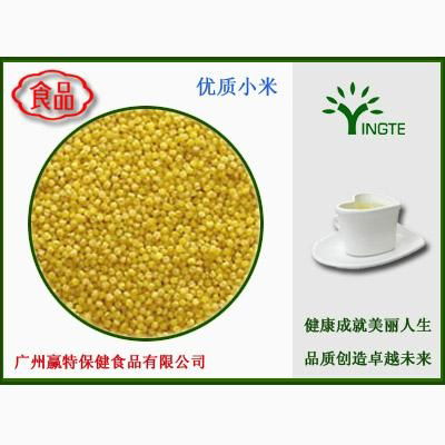 Yingte Puffing Millet powder 2